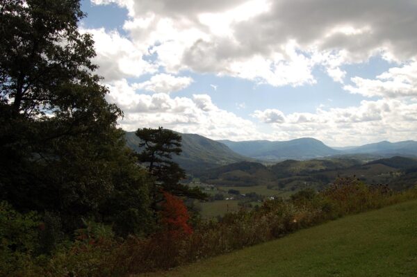 McAfee Real-Time: Silent Failure, Critical Vulnerability