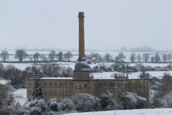 Norton Security: Master Your Digital Fortress, Step-by-Step